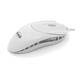ACUTAKE ICE-L-MOUSE Exclusive 3D 1600DPI (USB and PS/2)