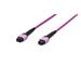 Digitus Fiber Optic Patchcord, MPO to MPO, Female OM4, Multimode 50/125 µ, 15m, Method A Jacket: violet,Housing: violet