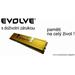 EVOLVEO DDR III 4GB 1600MHz (KIT 2x2GB) EVOLVEO GOLD (s chladičem,box),CL11