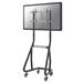 Neomounts NS-M3600BLACK / Mobile Flat Screen Floor Stand (stand+trolley) (height: 135-153 cm) / Black