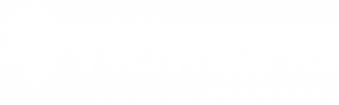 NewlandWhite2026v1.png